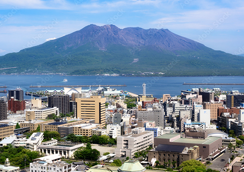 地域密着×販売実績購入者様へのPR